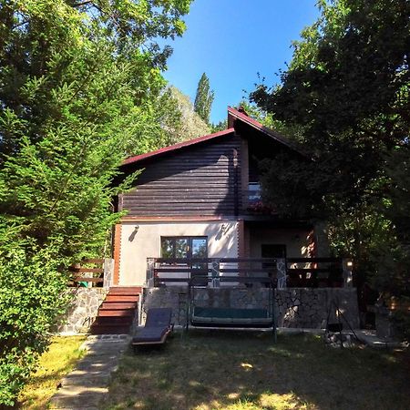 Mountain Family Chalet On Prahova Valley Comarnic Eksteriør bilde