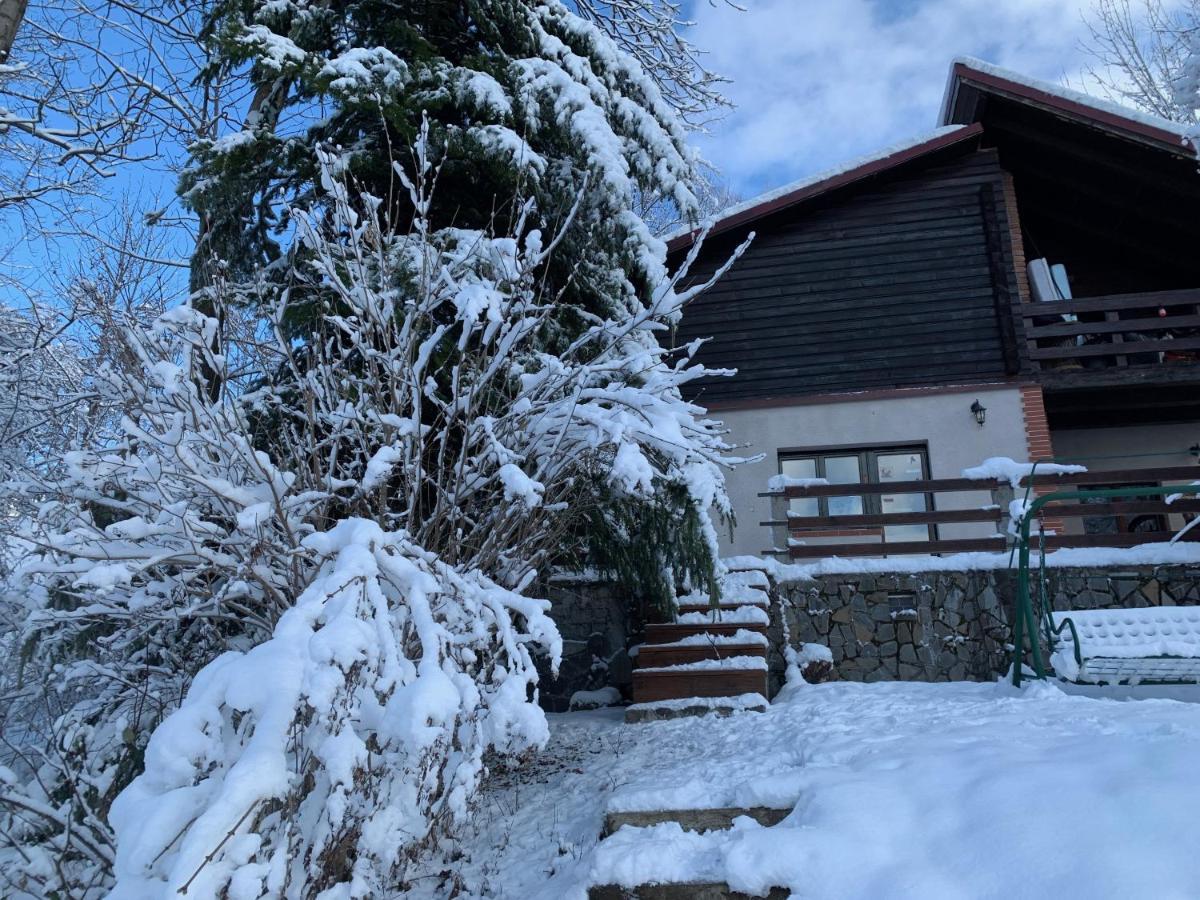 Mountain Family Chalet On Prahova Valley Comarnic Eksteriør bilde