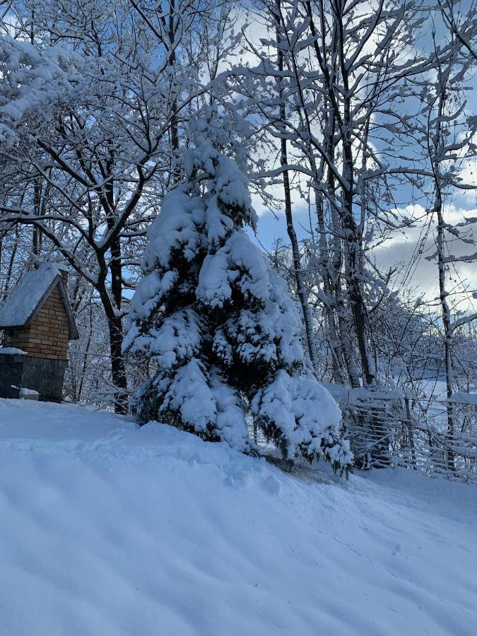 Mountain Family Chalet On Prahova Valley Comarnic Eksteriør bilde