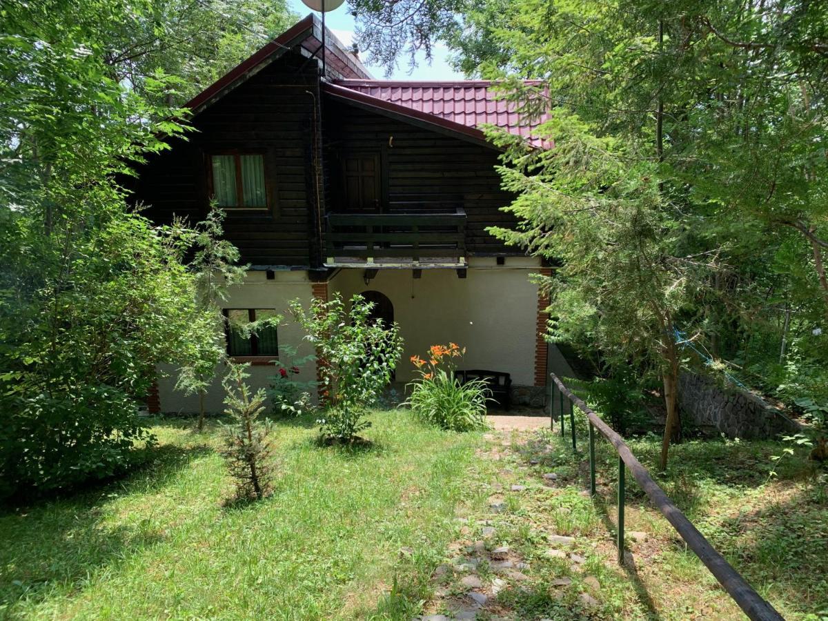 Mountain Family Chalet On Prahova Valley Comarnic Eksteriør bilde