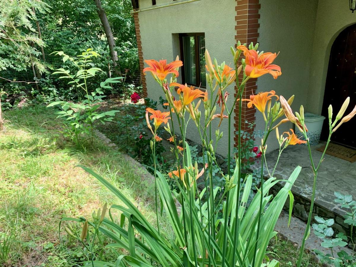 Mountain Family Chalet On Prahova Valley Comarnic Eksteriør bilde