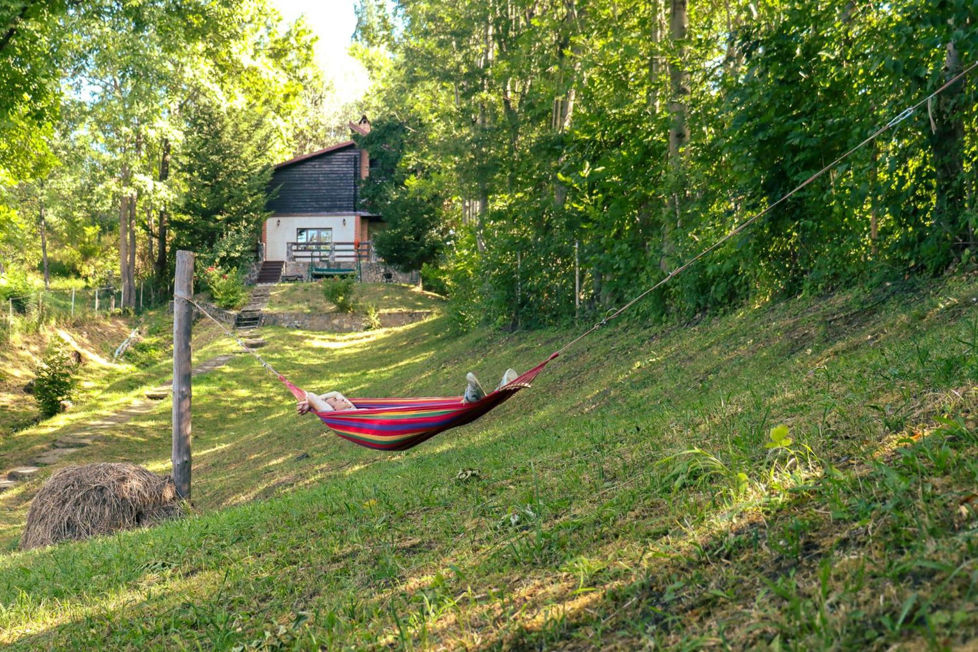 Mountain Family Chalet On Prahova Valley Comarnic Eksteriør bilde